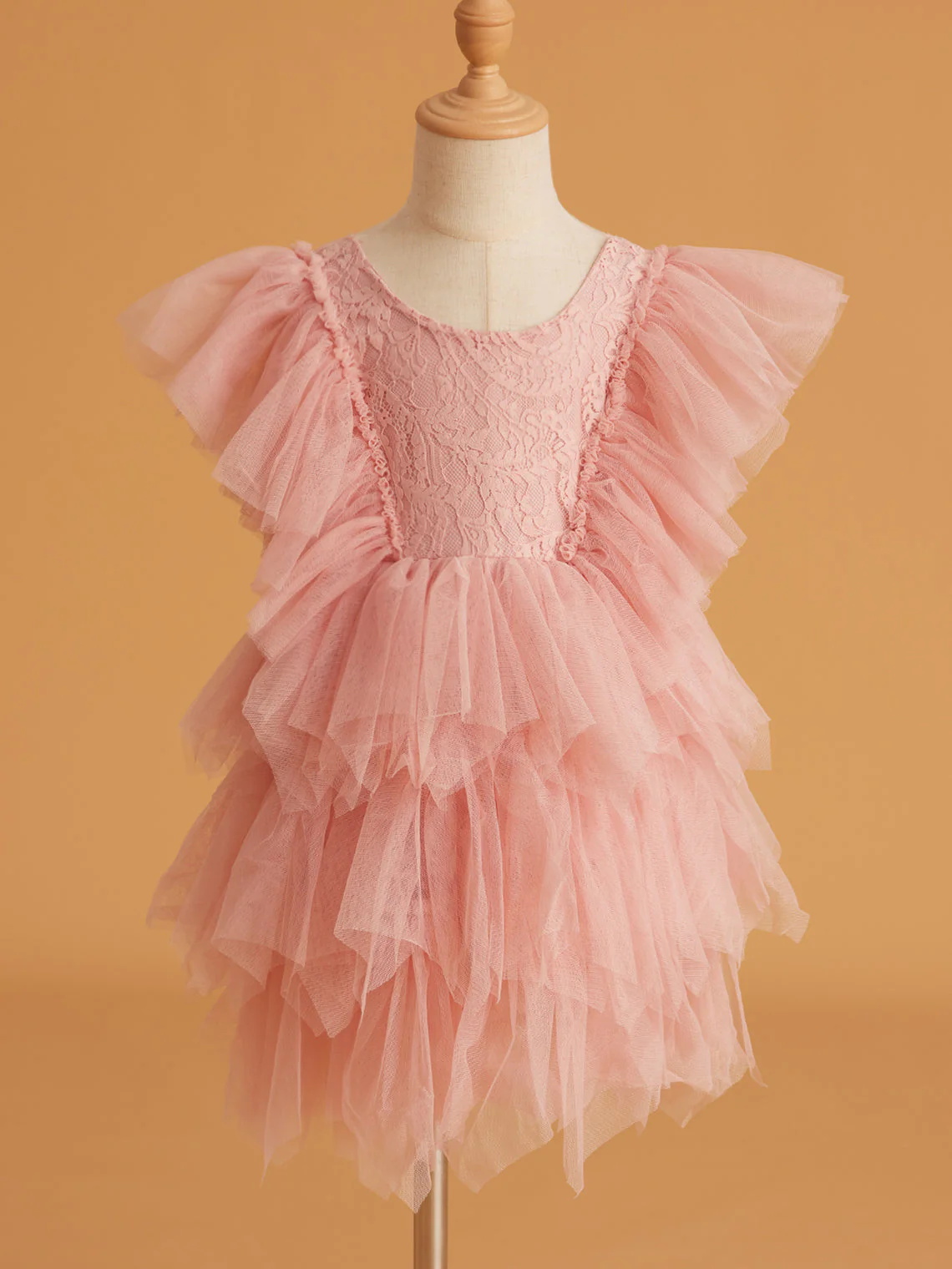 Lace Tulle Short/Mini Dress - Image 5